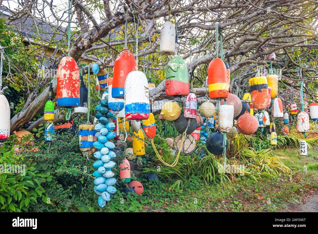 Colorful buoys hanging on tree on the front yard of a house in Otter Rock, Oregon. Stock Photo