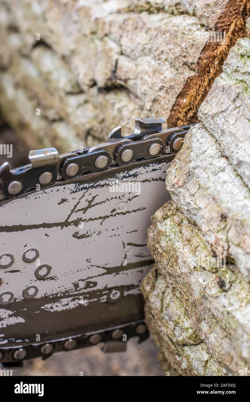 Through and through sawing hires stock photography and images Alamy