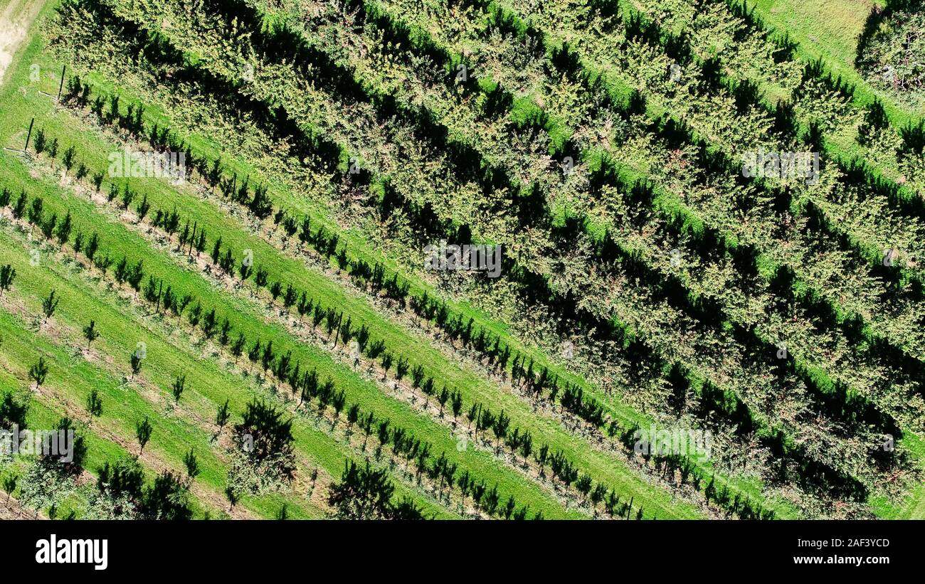 Aerial View Of Lautenbach S Orchard Country Winery Market