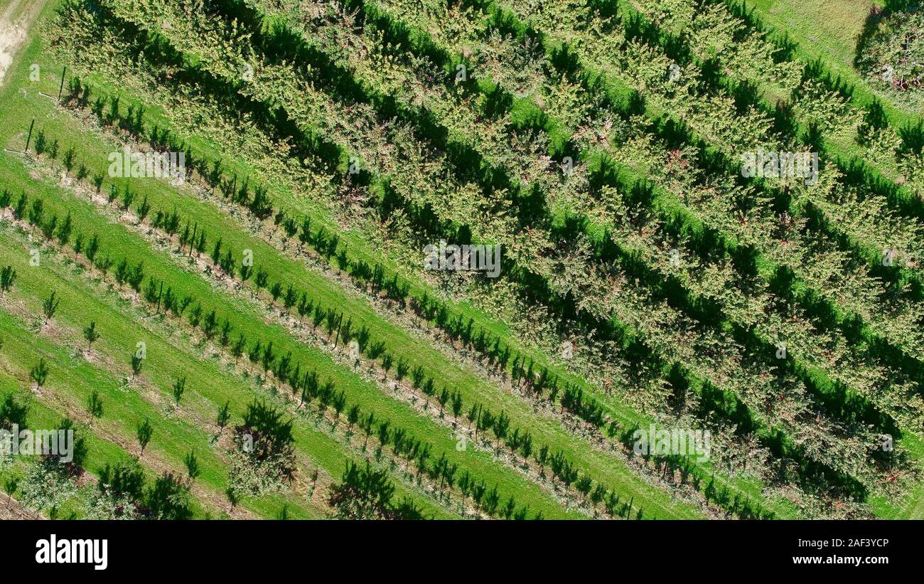 Door peninsula cherry orchards hires stock photography and images Alamy