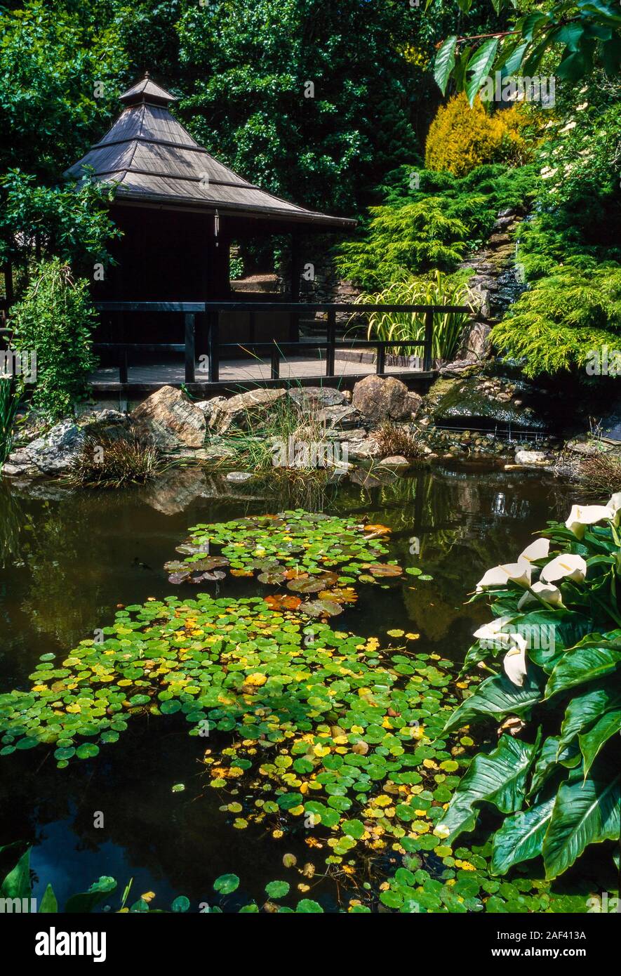 Oriental ornamental garden lake view Stock Photo