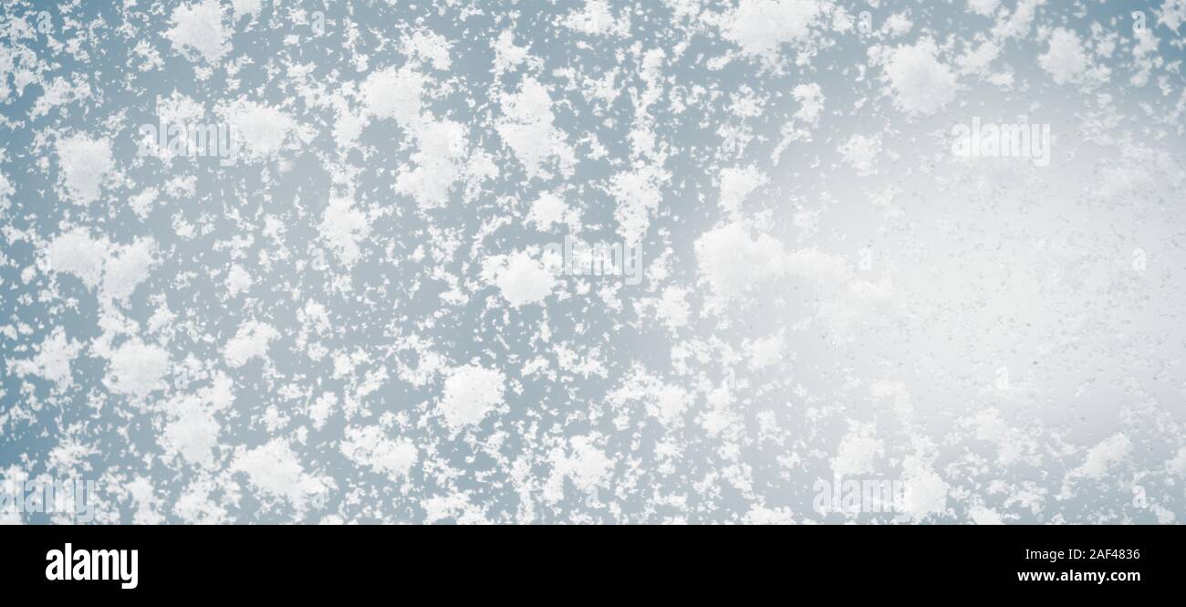 Large snow flakes on the window, macro photo Stock Photo