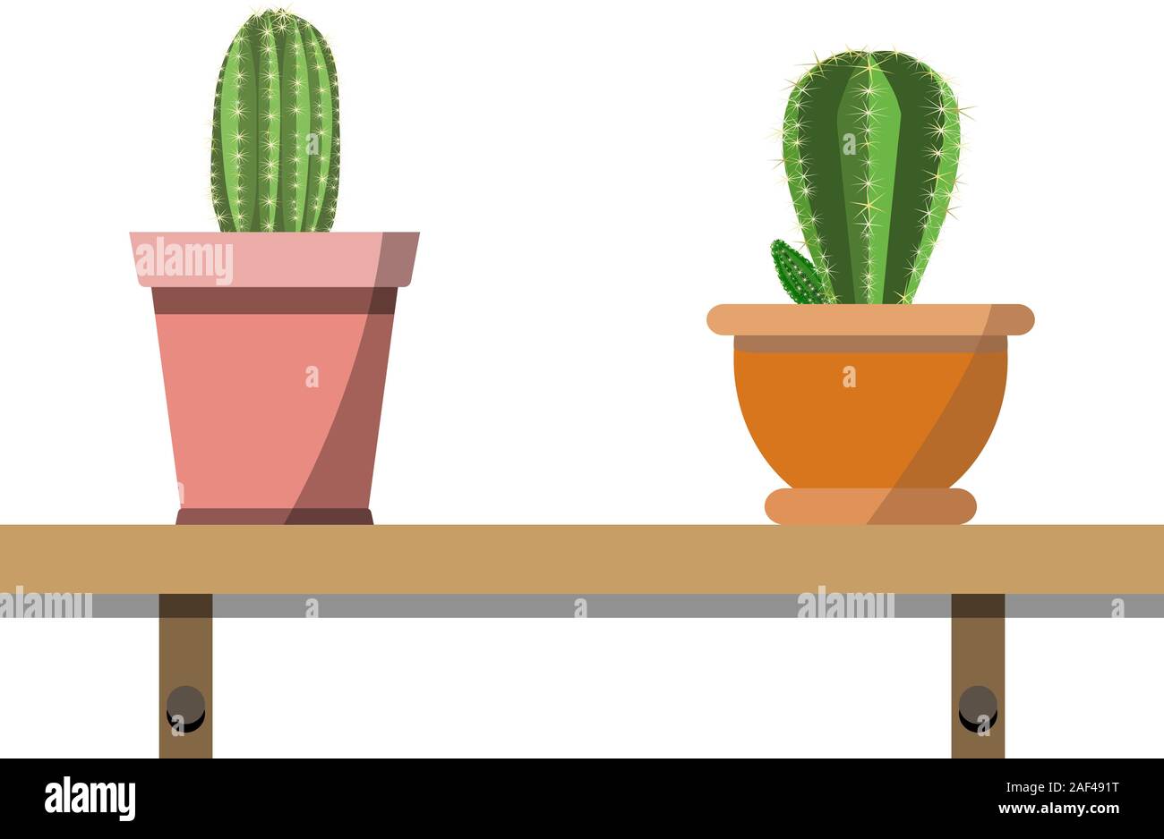 2 potted cactus plants in attractive colorful flower pots against white wall. House plants on woden shelf isolated on white. Props for interior, offic Stock Vector