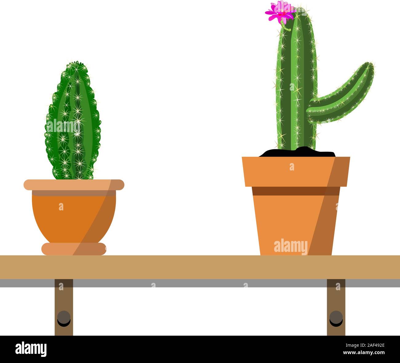 2 potted cactus plants in nice brownl flower pots against white wall. House plants on woden shelf isolated on white. Props for interior, office decor Stock Vector