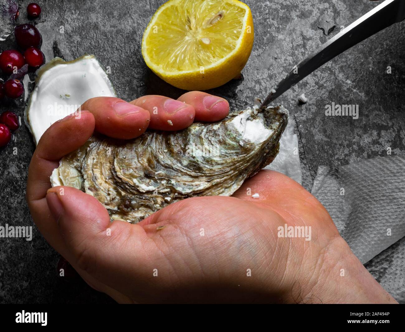 men opening raw oyster with knife, closeup. The persons hands shucking