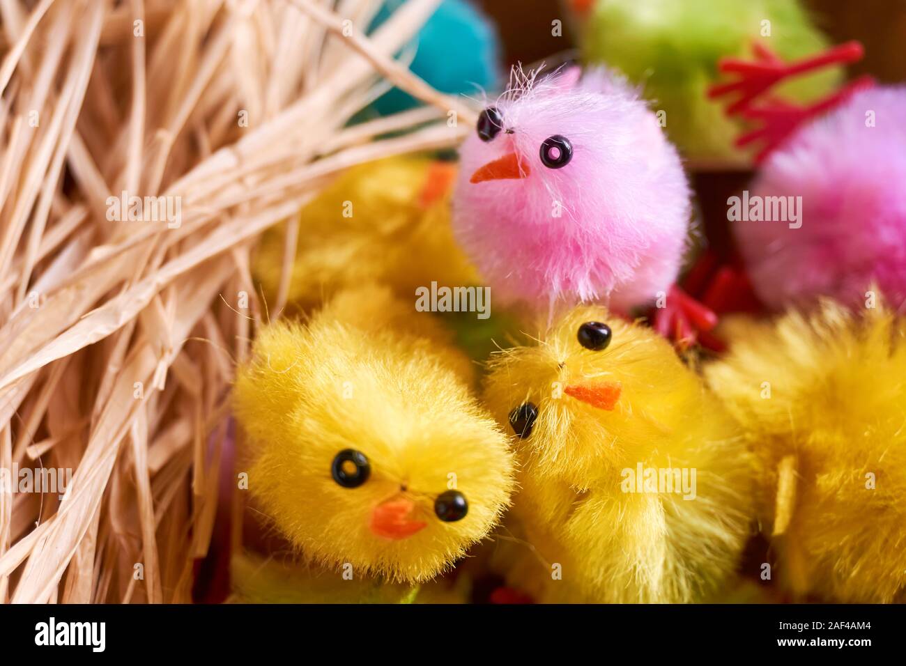Natural Chicks