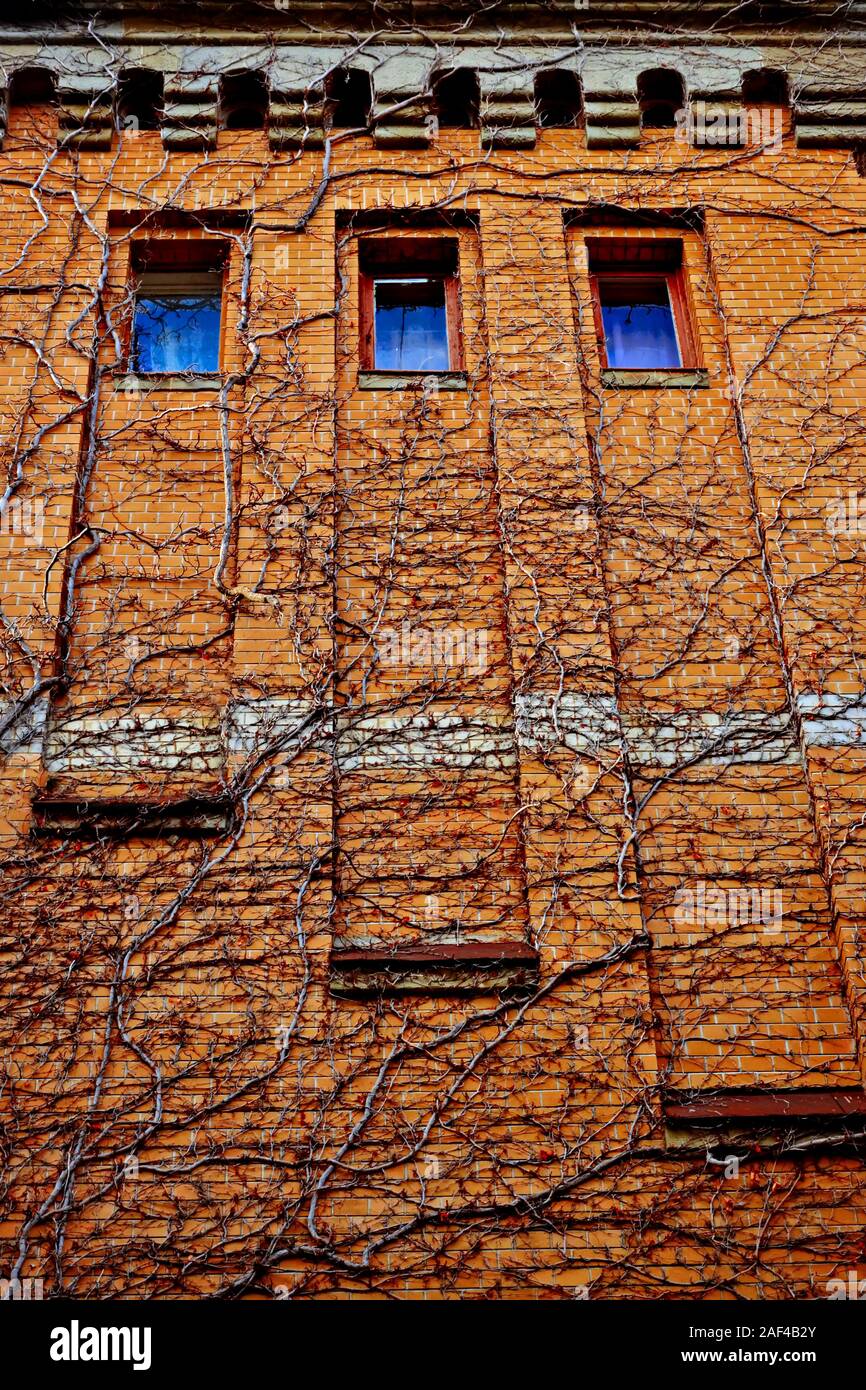 Facade of a red brick building with blue windows. Color of the year ...