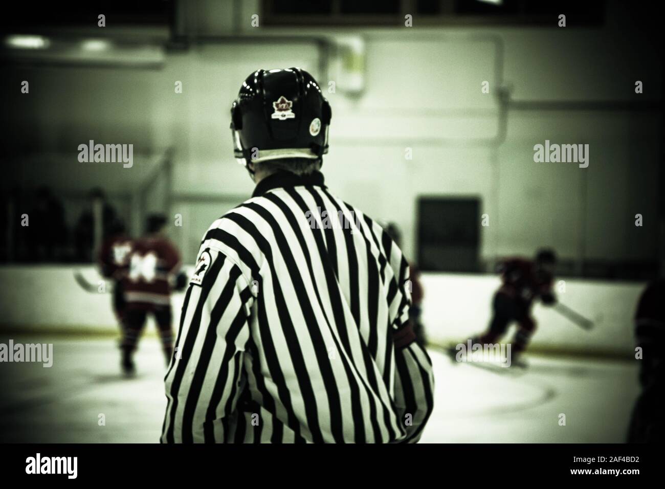 A Hockey Referee in Canada Stock Photo Alamy