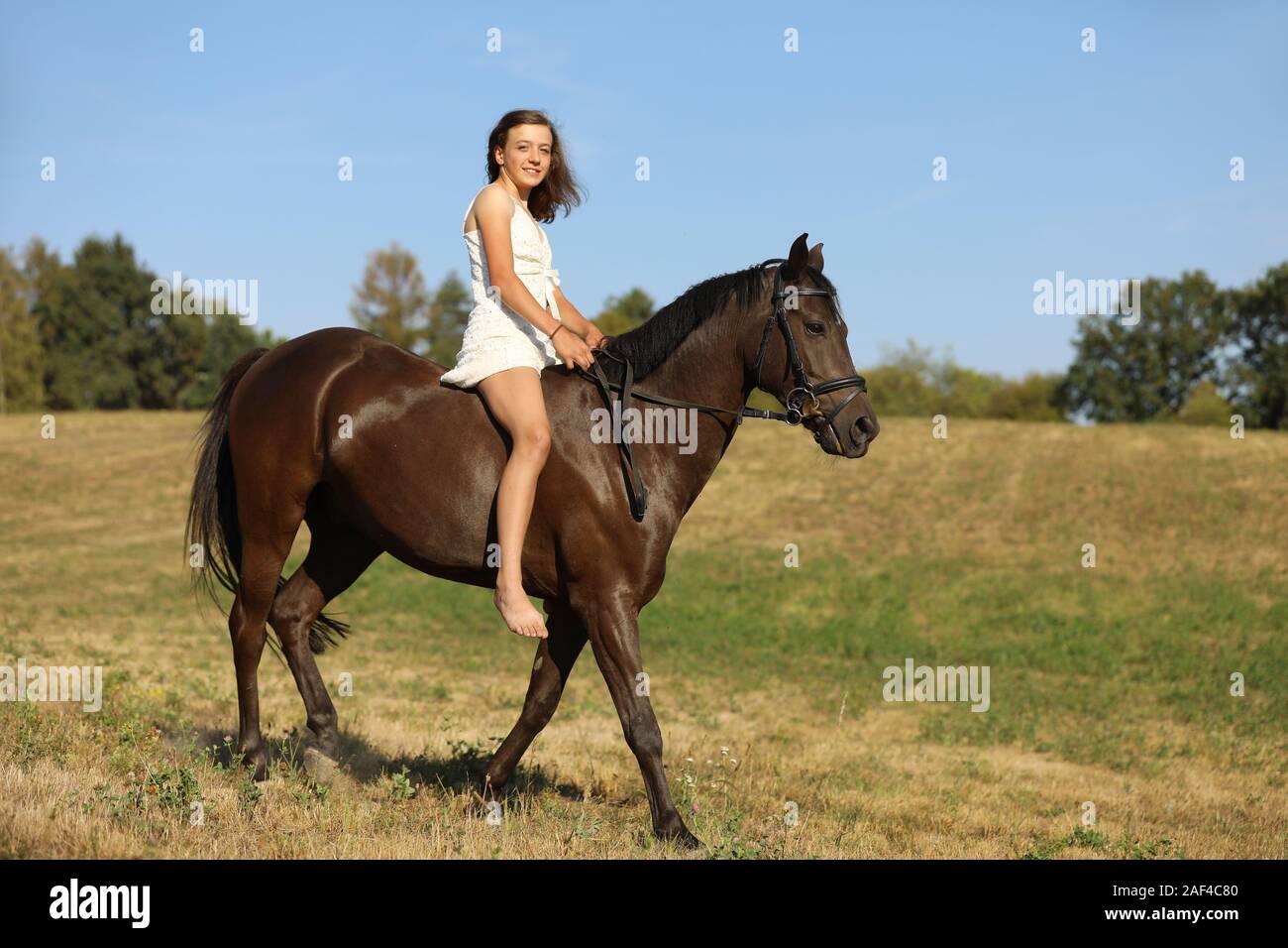 Happy teenage pretty girl on pony without saddle running on meadow in hot summer afternoon Stock Photo