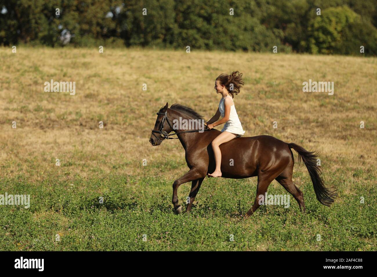 Young girl in white dress running on horse without saddle through meadow on summer afternoon Stock Photo