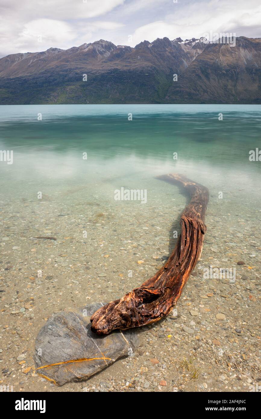 Driftwood in Lake Wakatipu, Queenstown, South Island, New Zealand, Aotearoa Stock Photo