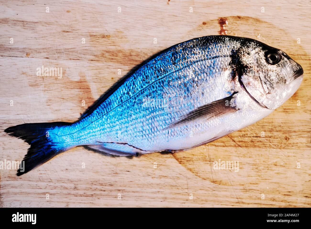 Dorate fish hi-res stock photography and images - Alamy