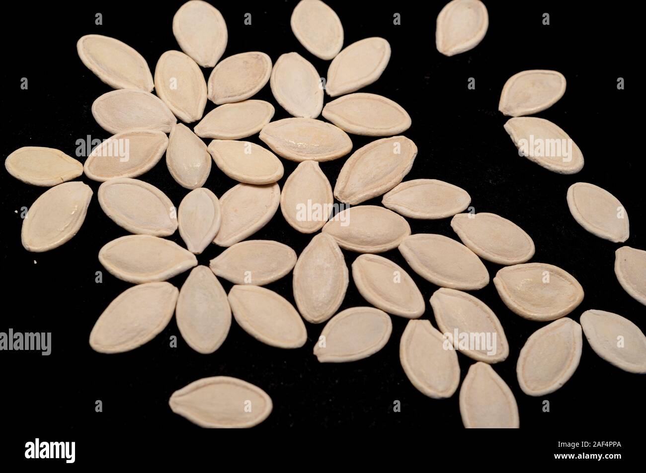many pumpkin seeds on dark background. Stock Photo