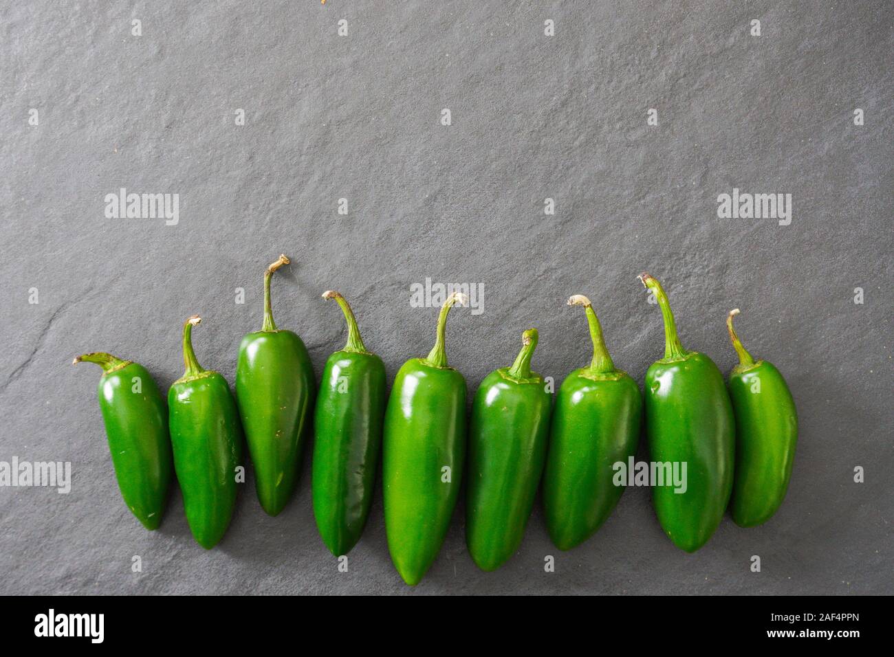 A row of bright green jalapeno peppers on a gray background with copy space; food preparation Stock Photo