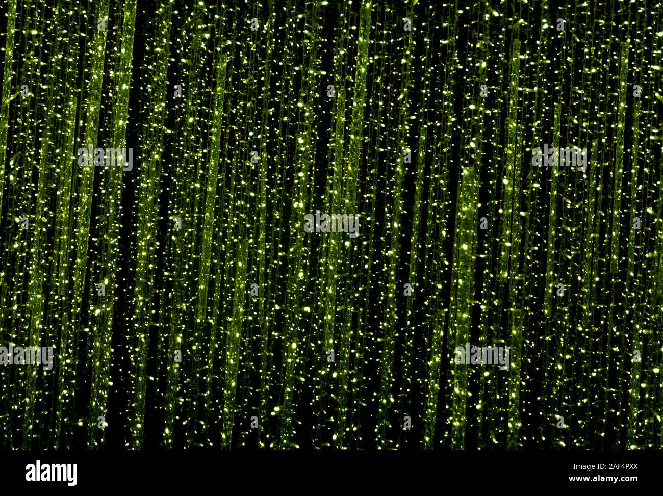 Noel Indoor Light Park Stampede Grounds Calgary Alberta Canada Stock