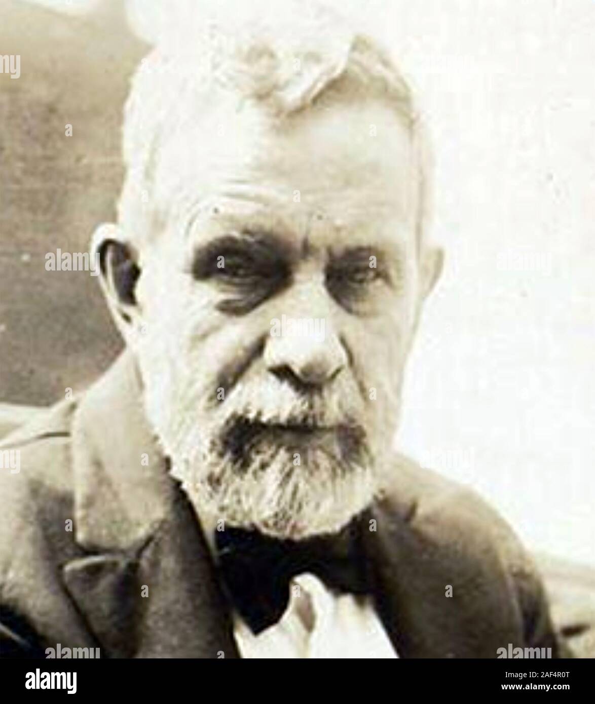 JOHN DEVOY (1842-1928) Irish rebel leader and journalist Stock Photo
