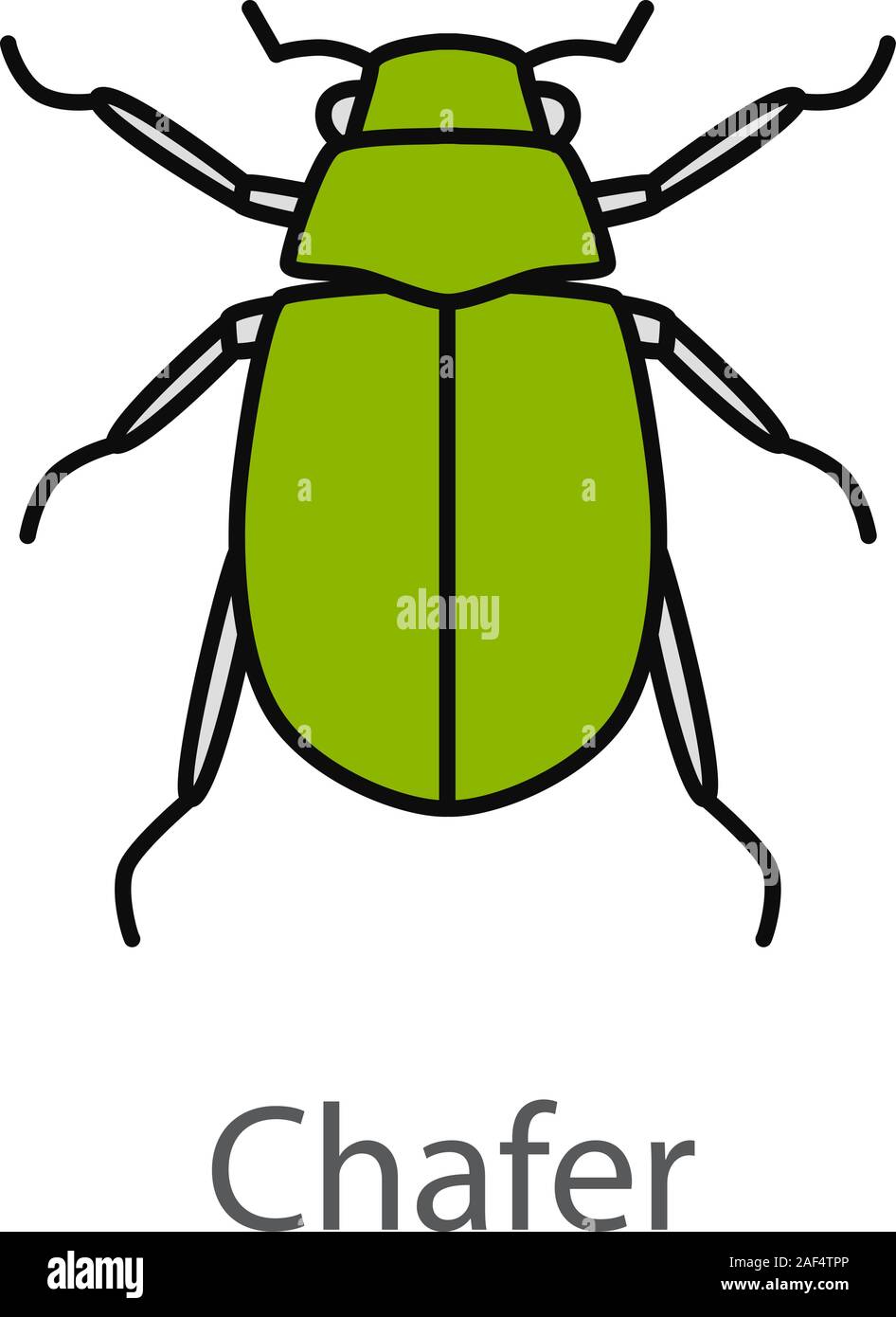 European chafer color icon. Melolontha. June bug. Isolated vector illustration Stock Vector
