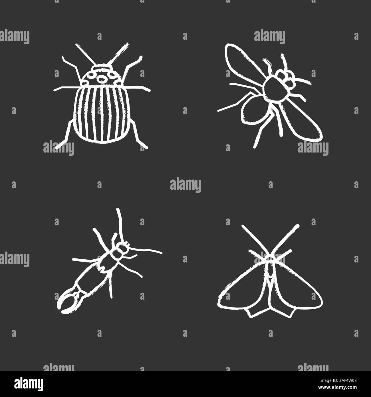 Insects chalk icons set. Colorado beetle, honey bee, earwig, moth ...