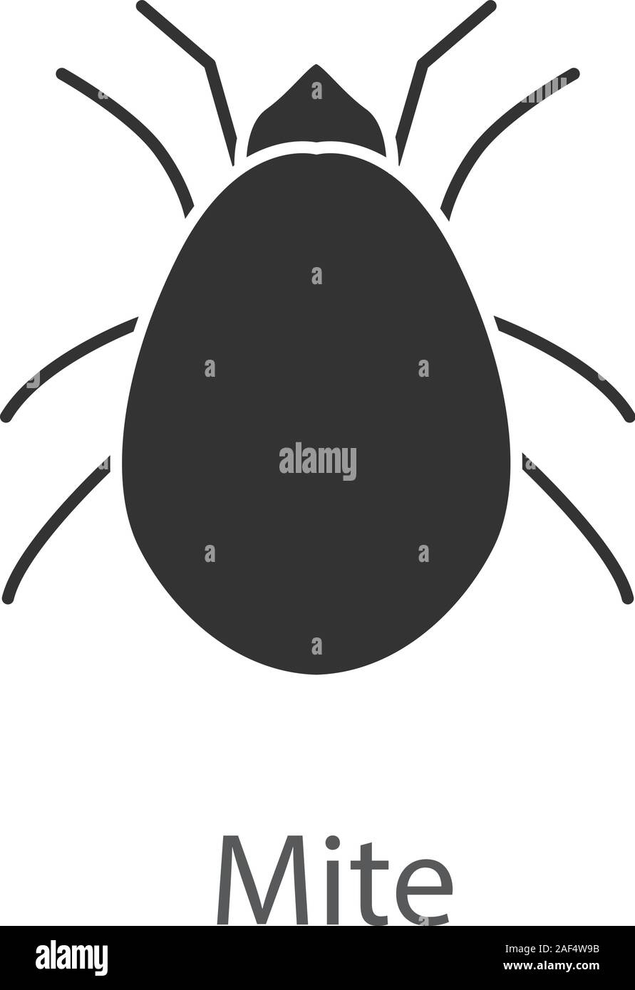Mite glyph icon. Acari. Silhouette symbol. Negative space. Vector ...