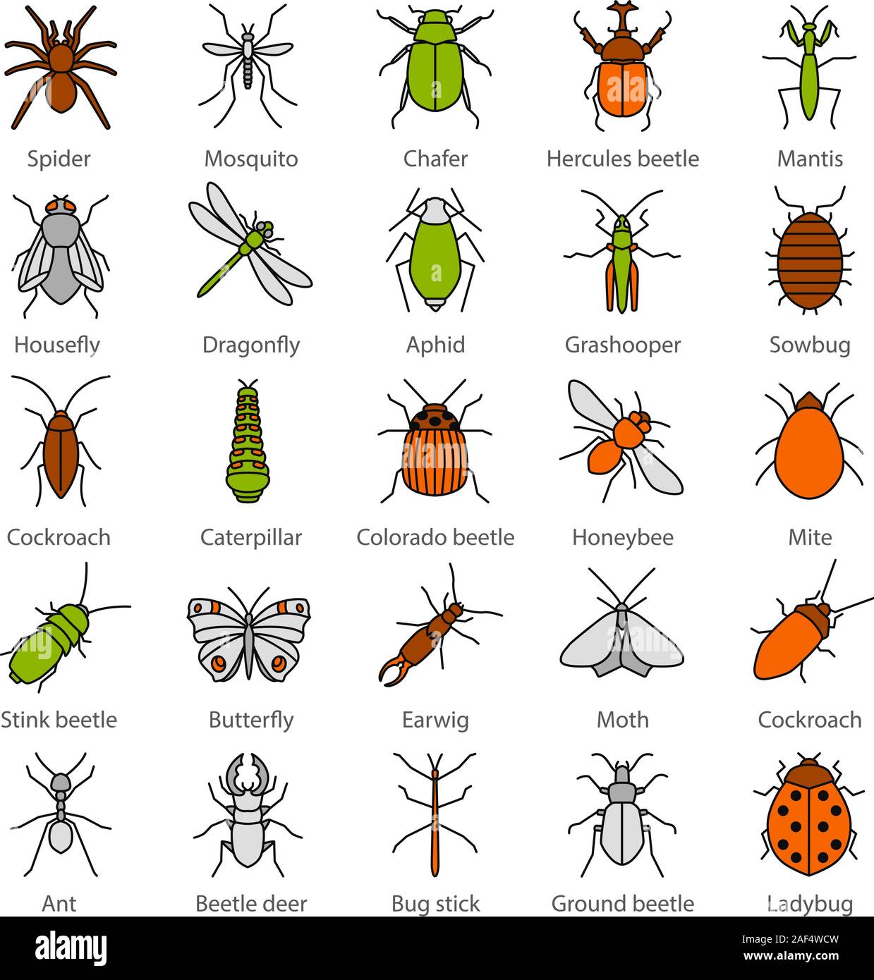 Insects color icons set. Bugs. Entomologist collection. Butterfly, earwig,  stag bug, phasmid, moth, ant, mantis, spider. Isolated vector illustrations  Stock Vector Image & Art - Alamy
