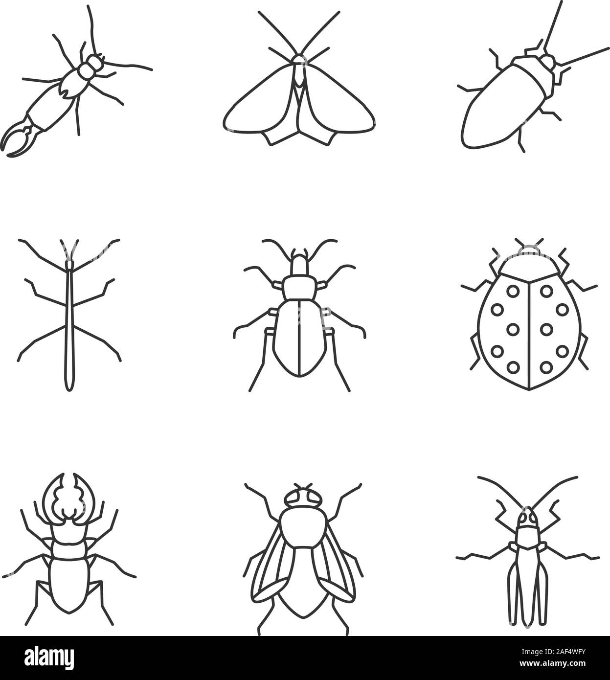 Insects linear icons set. Earwig, moth, cockroach, stick bug, ground and stag beetles, ladybug, housefly, grasshopper. Thin line contour symbols. Isol Stock Vector