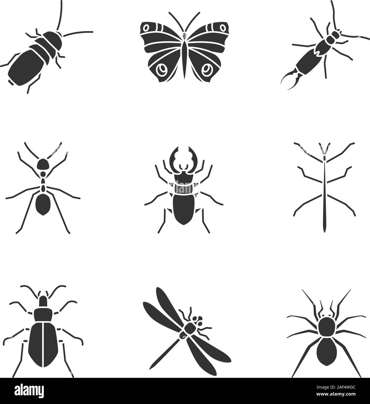 Darkling ground beetle Stock Vector Images Alamy