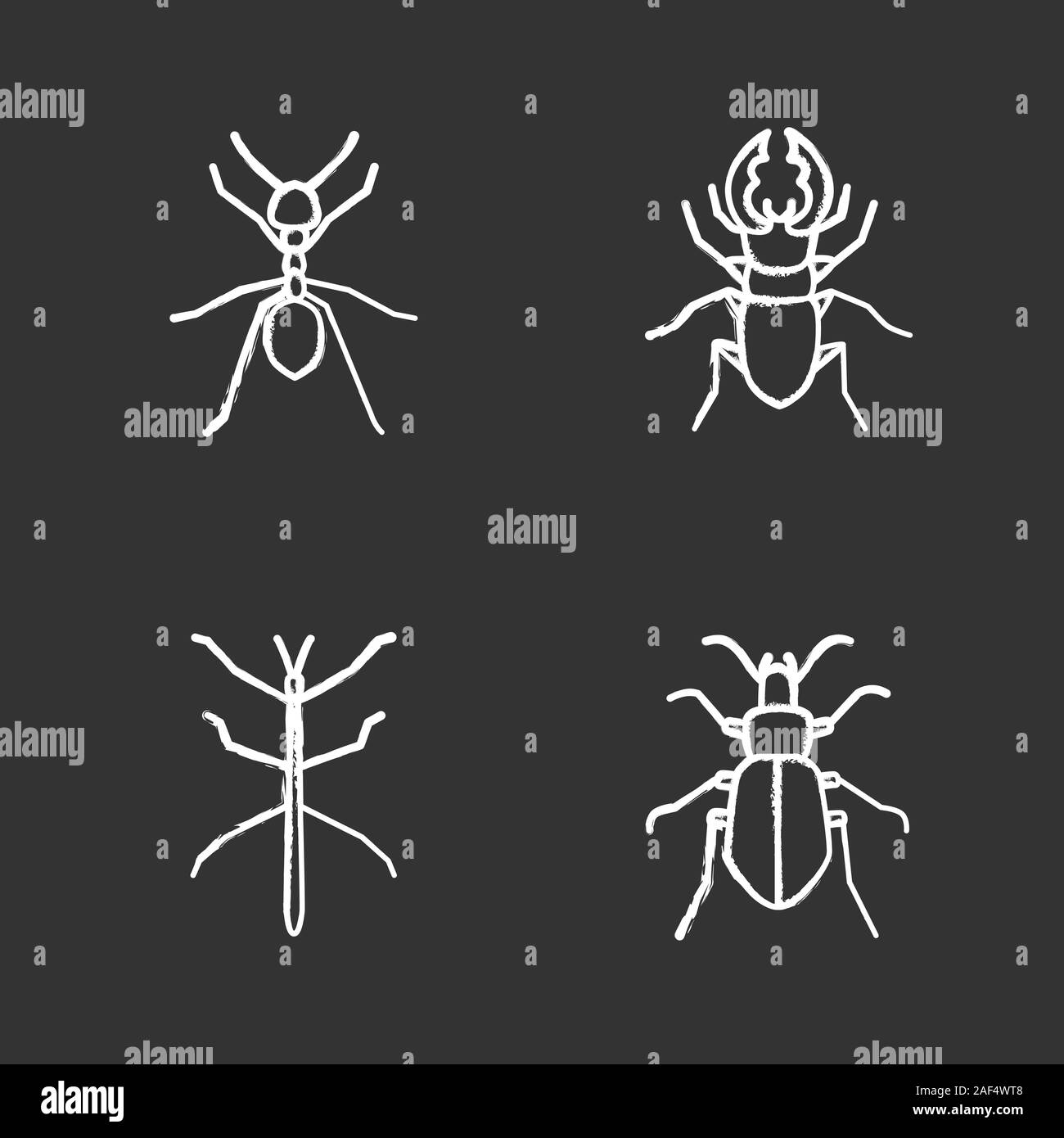 Insects chalk icons set. Ant, stag beetle, ground bug, phasmid. Isolated vector chalkboard illustrations Stock Vector
