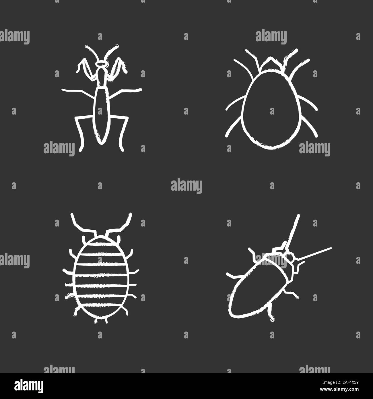 Insects chalk icons set. Mantis, cockroach, woodlice, mite. Isolated ...