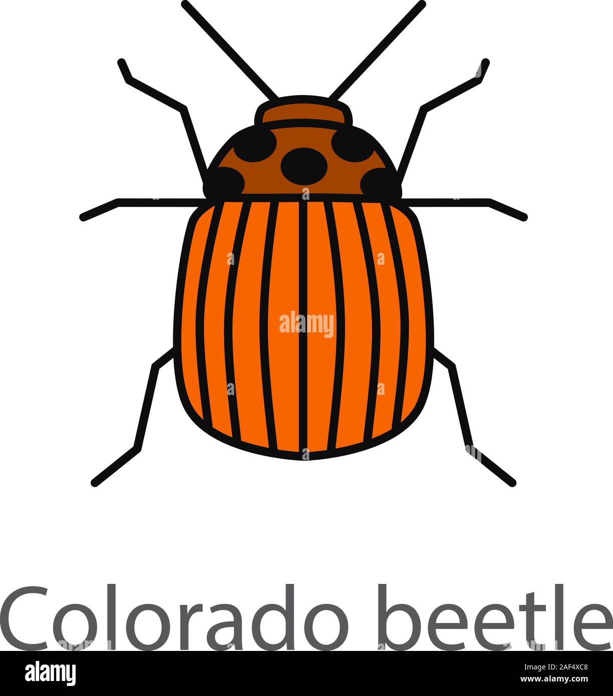 Colorado beetle color icon. Insect pest. Potato bug. Isolated vector