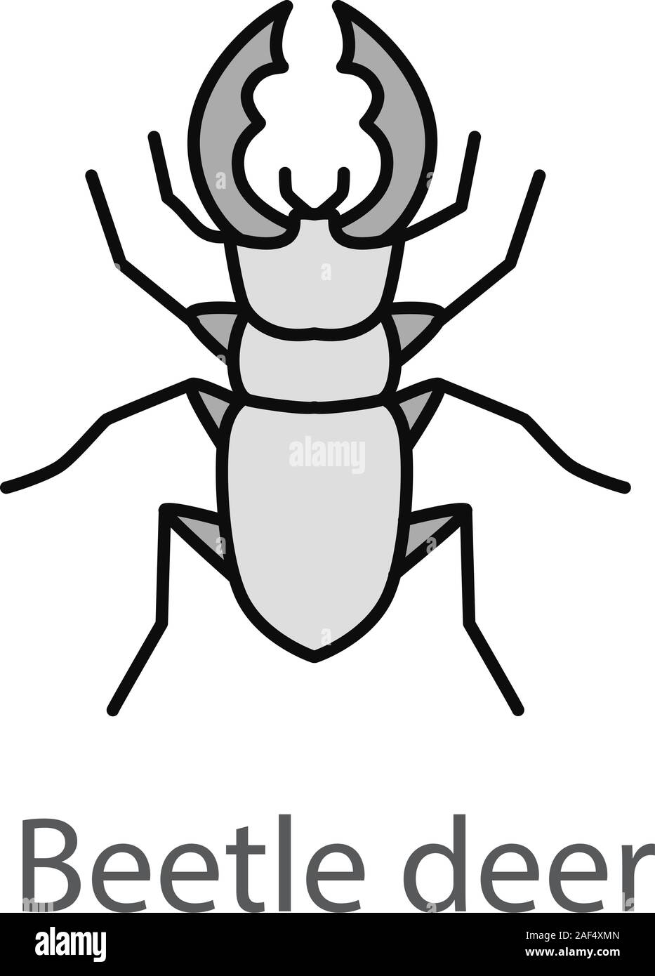 stag beetle drawing cute