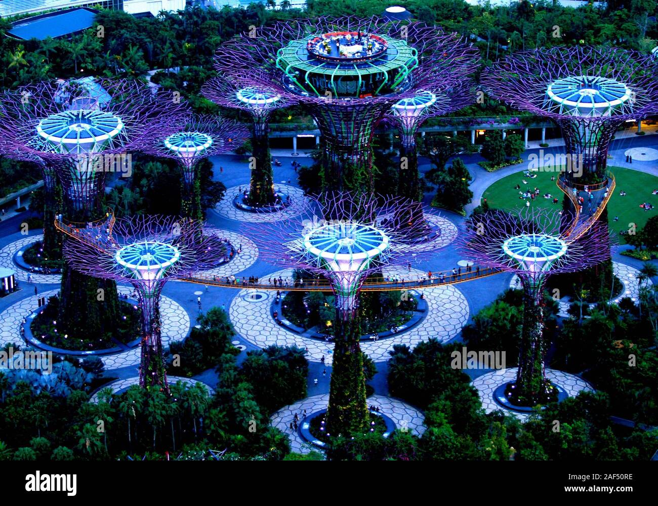 Singapore trees by the bay Stock Photo Alamy