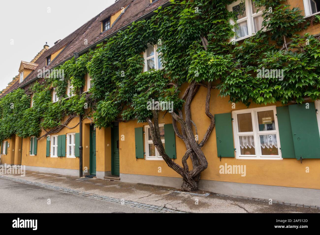 Vine tree growing on a line of houses in the Fuggerei, a walled enclave within the city of Augsburg, Bavaria, Germany. Stock Photo
