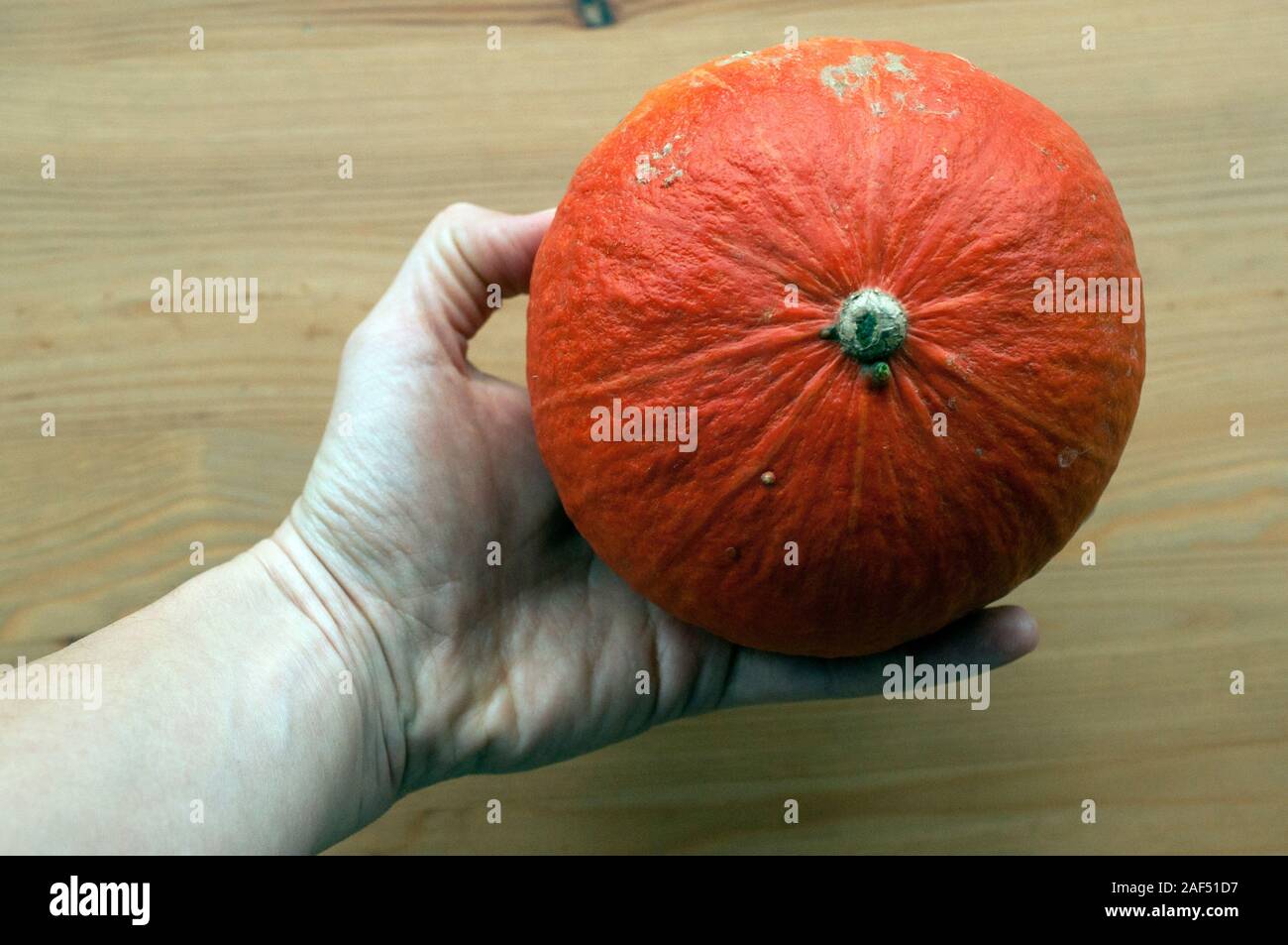 Hand holding a small orange pumpkin. Eating seasonal vegetables in autumn. Stock Photo