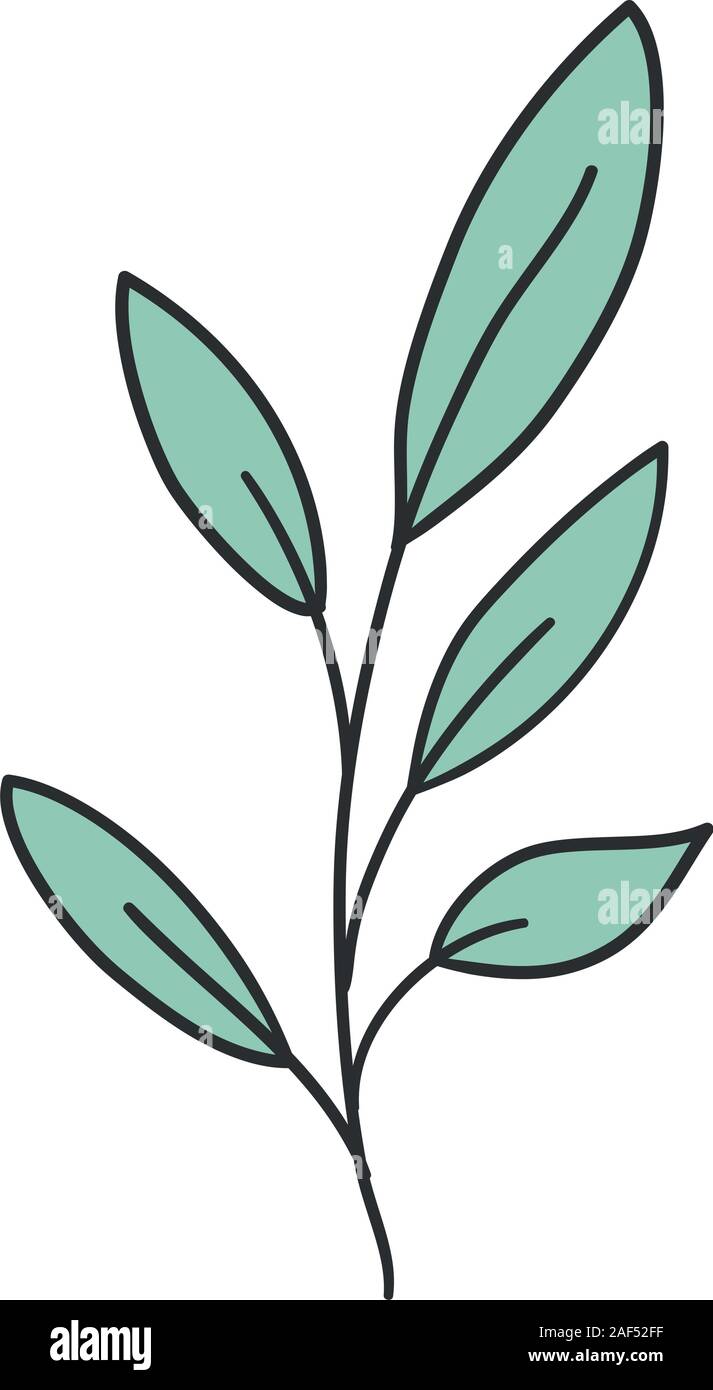 Isolated leaf plant vector design Stock Vector Image & Art - Alamy