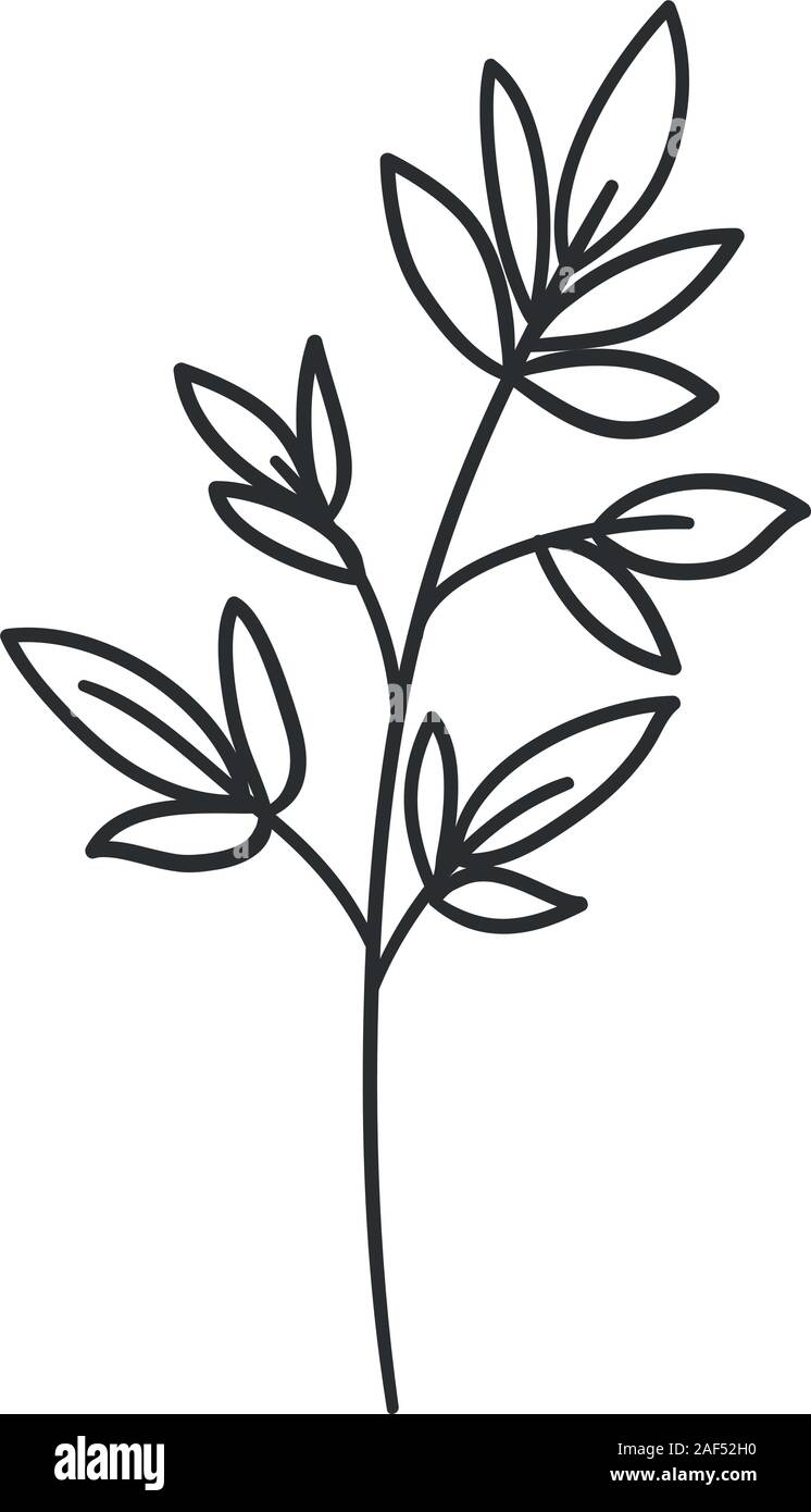 Isolated leaf plant vector design Stock Vector Image & Art - Alamy