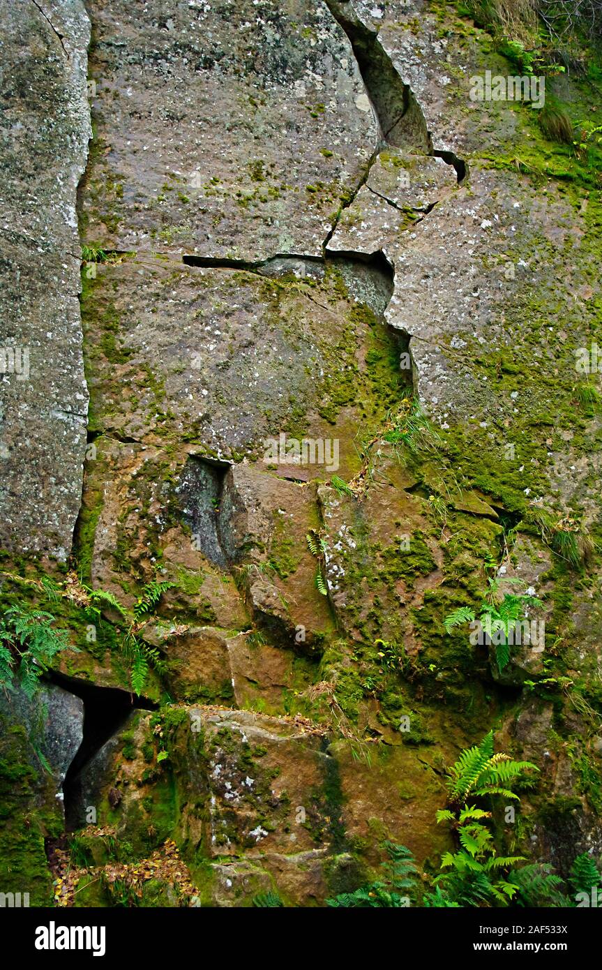 Detail of the face with multiple fractures in Yarncliffe Quarry on the Longshaw Estate near Grindleford Stock Photo