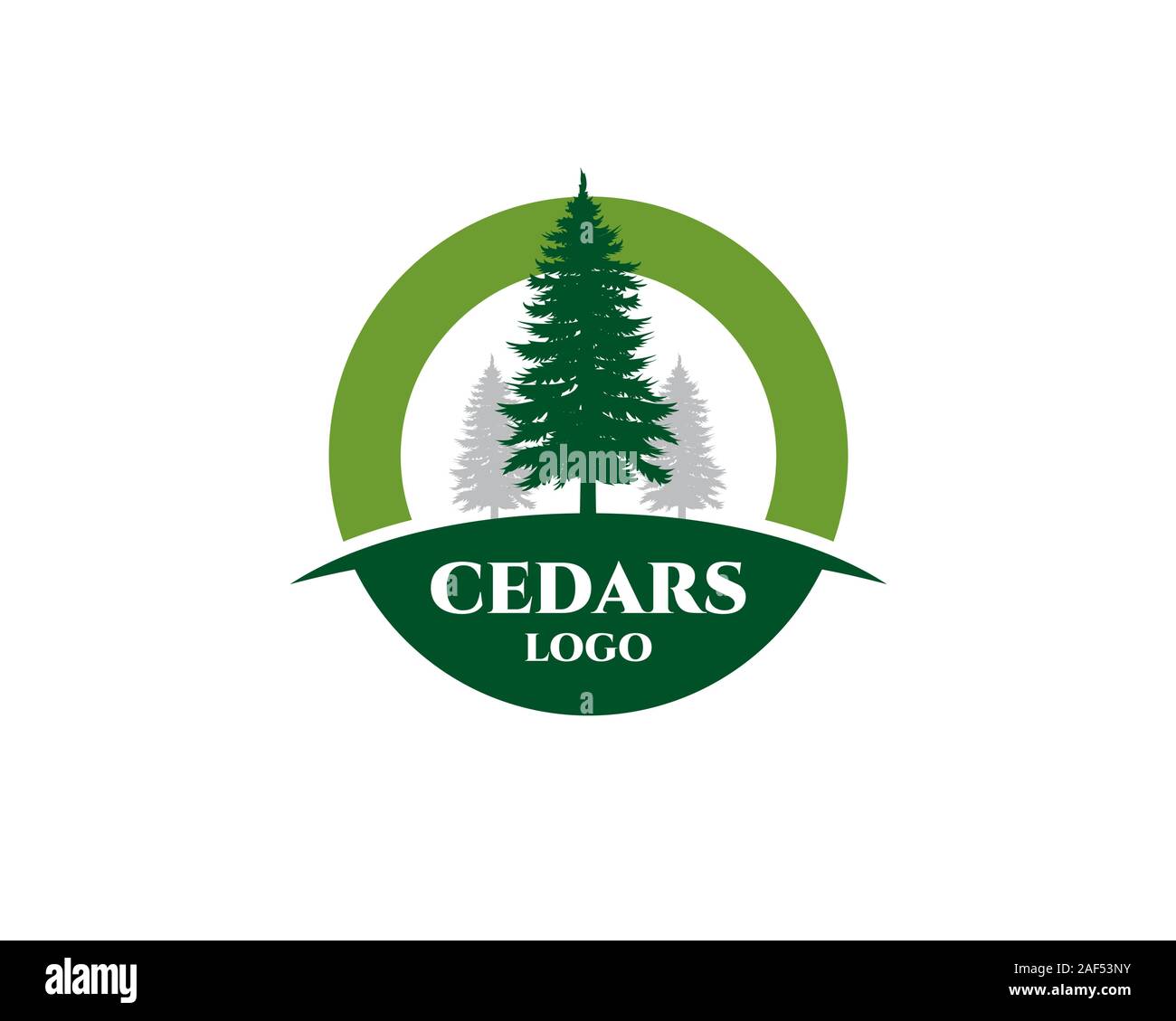 cedar plant wood forest logo Stock Vector Image & Art - Alamy