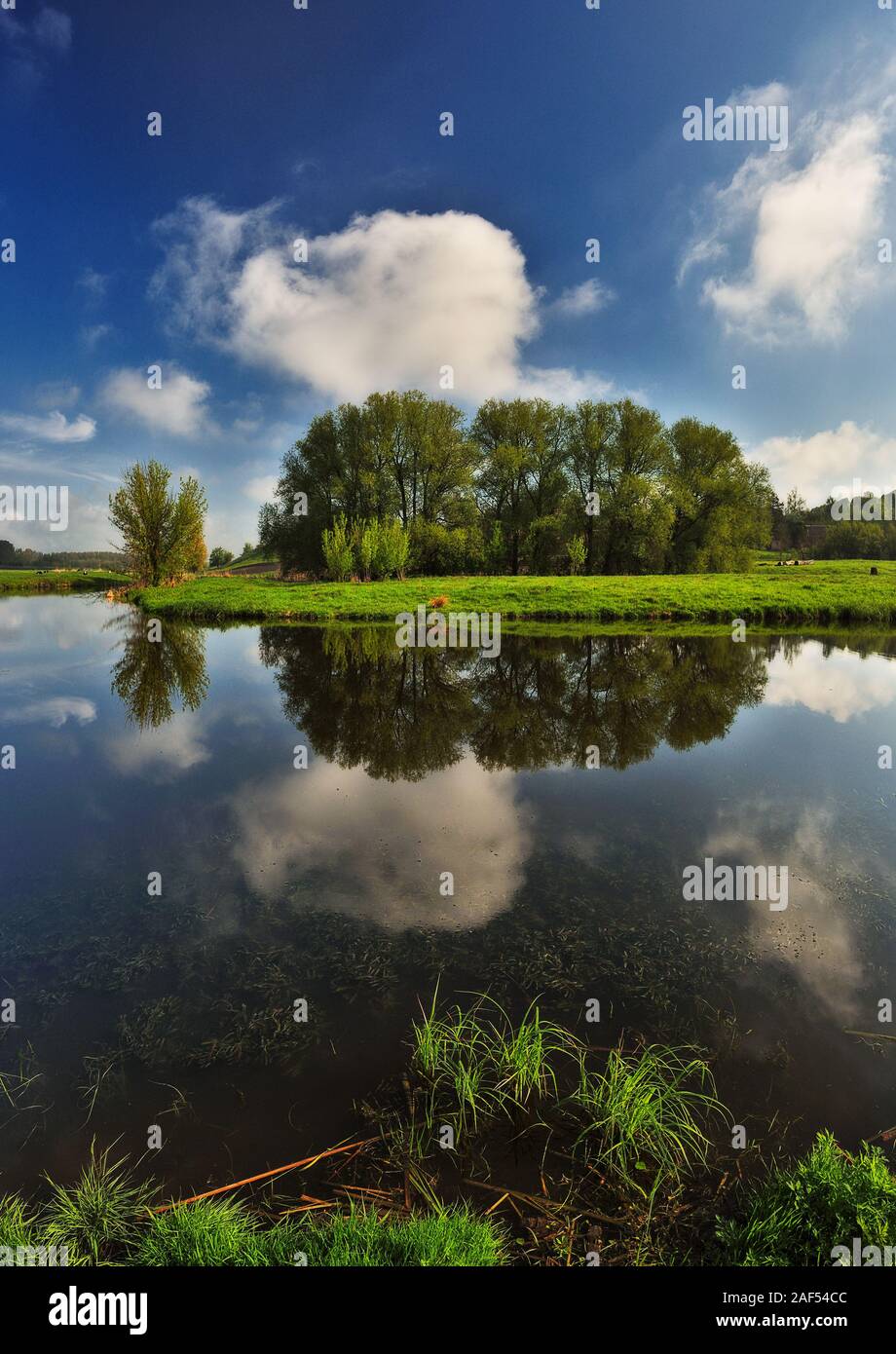 spring landscape in the river valley. dawn in a picturesque place Stock Photo