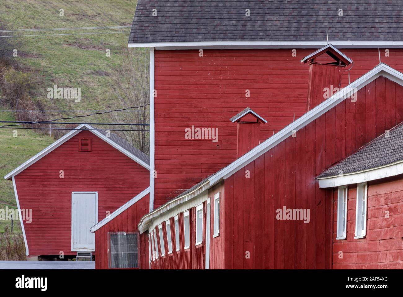 A complex of red barns near Cooperstown, New York State, USA. Stock Photo