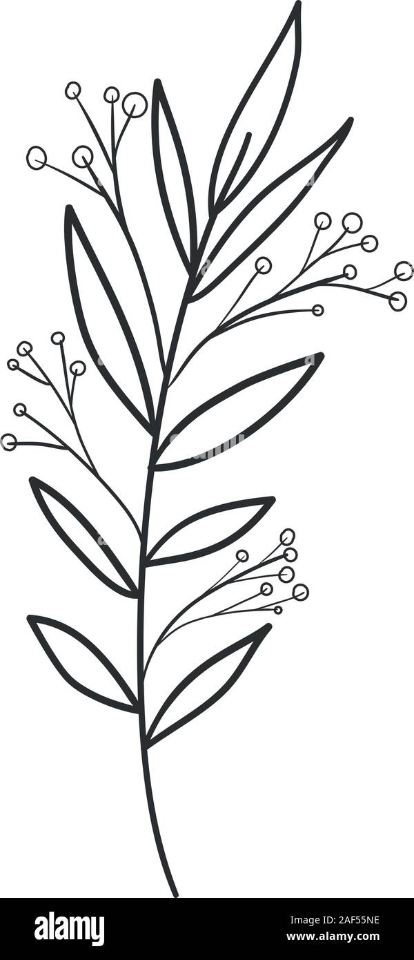 Isolated leaf plant vector design Stock Vector Image & Art - Alamy