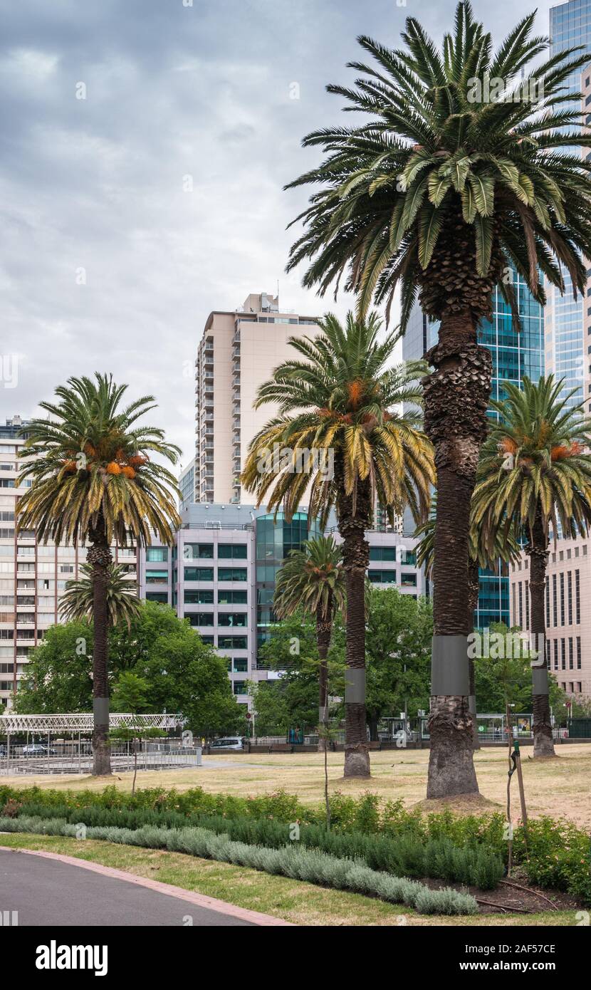 Skyscraper among trees hires stock photography and images Alamy