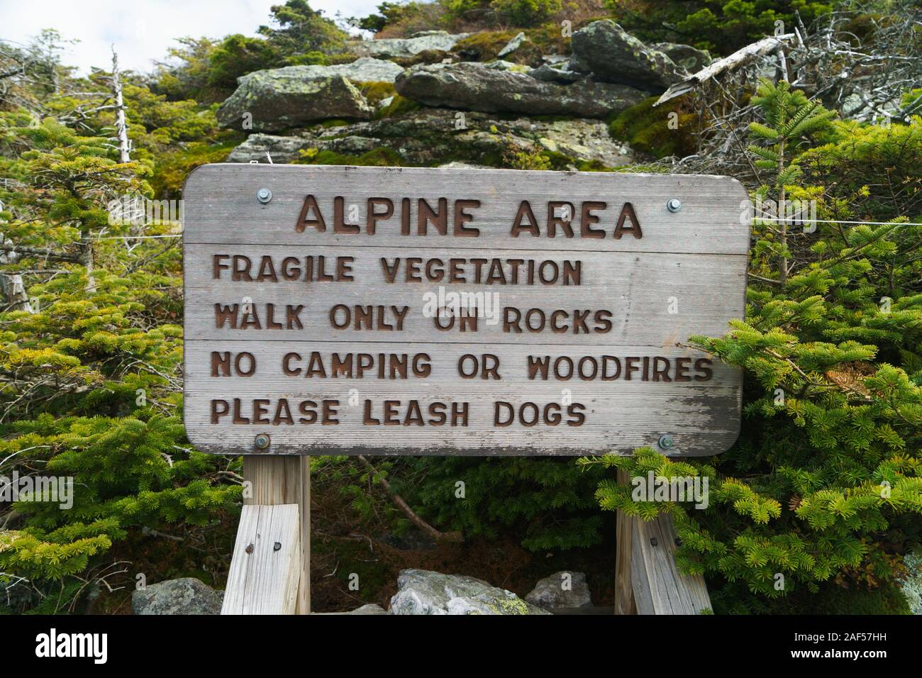 Sign warning hikers to stay on the trails to prevent damage to fragile vegetation, Camel's Hump, Vermont, USA. Stock Photo