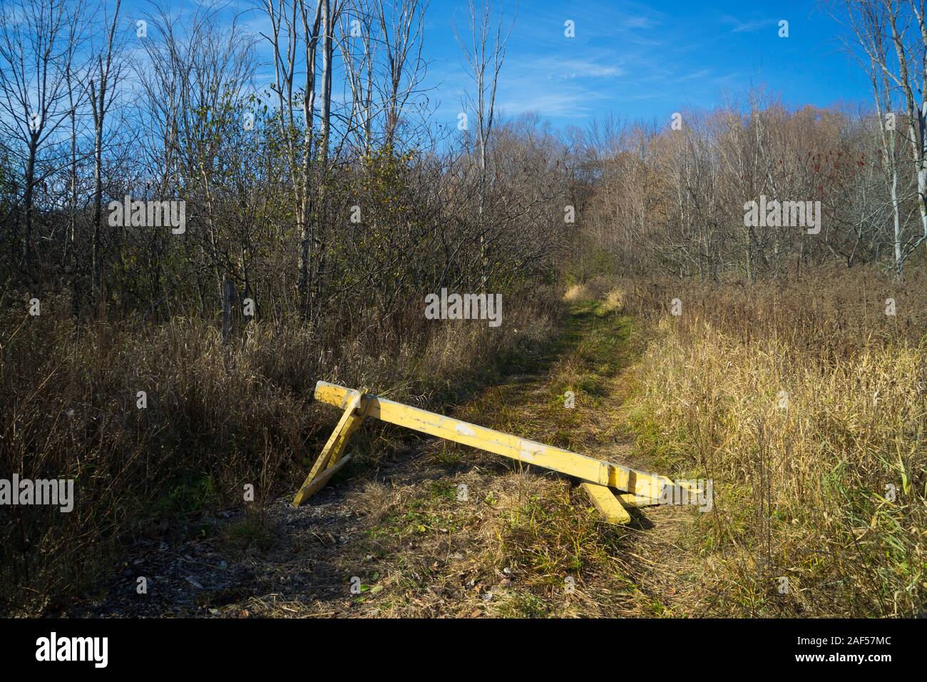 Old yellow wooden saw horse blocking the entrance to a grassy forest road in Canada. Stock Photo