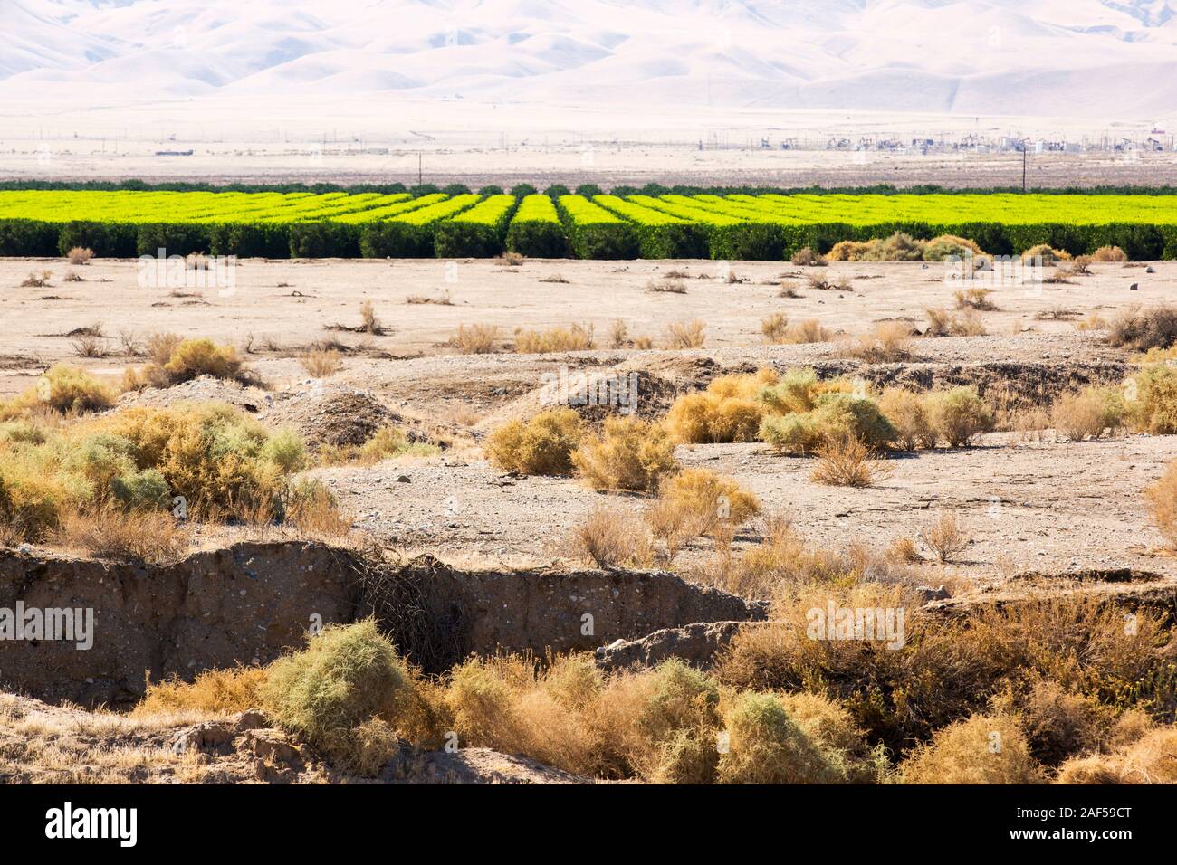 Contrast between agricultural land hi res stock photography and images