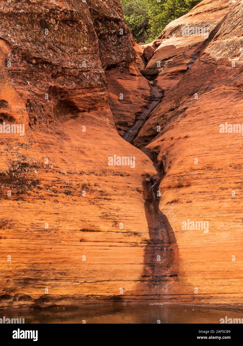 Pool at trail's end, Red Sands Trail, Snow Canyon State Park, St. George, Utah. Stock Photo