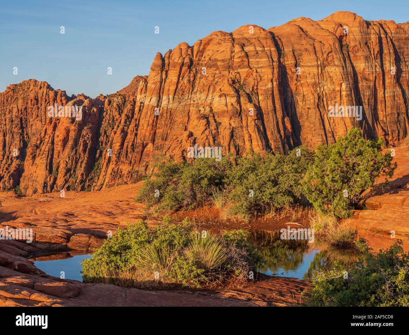 Potholes filled with water, Petrified Dunes, sunrise, Snow Canyon State ...