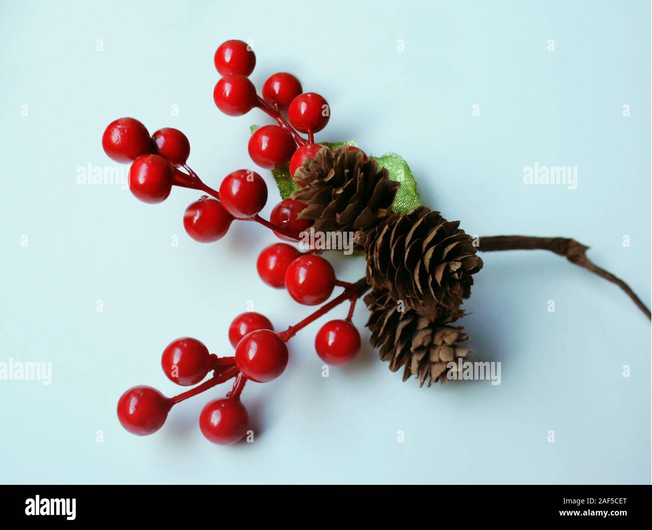 Beautiful close up of a decor of hawthorn sprig with red berries and three pine cones on a white background Stock Photo