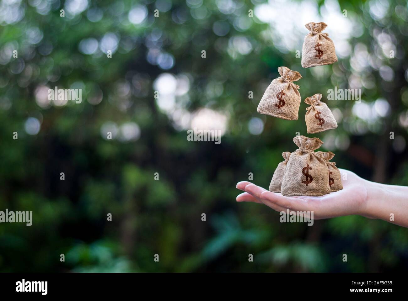 Pocket money and place it on the highest point in the park to request investment loans planned in the future Stock Photo