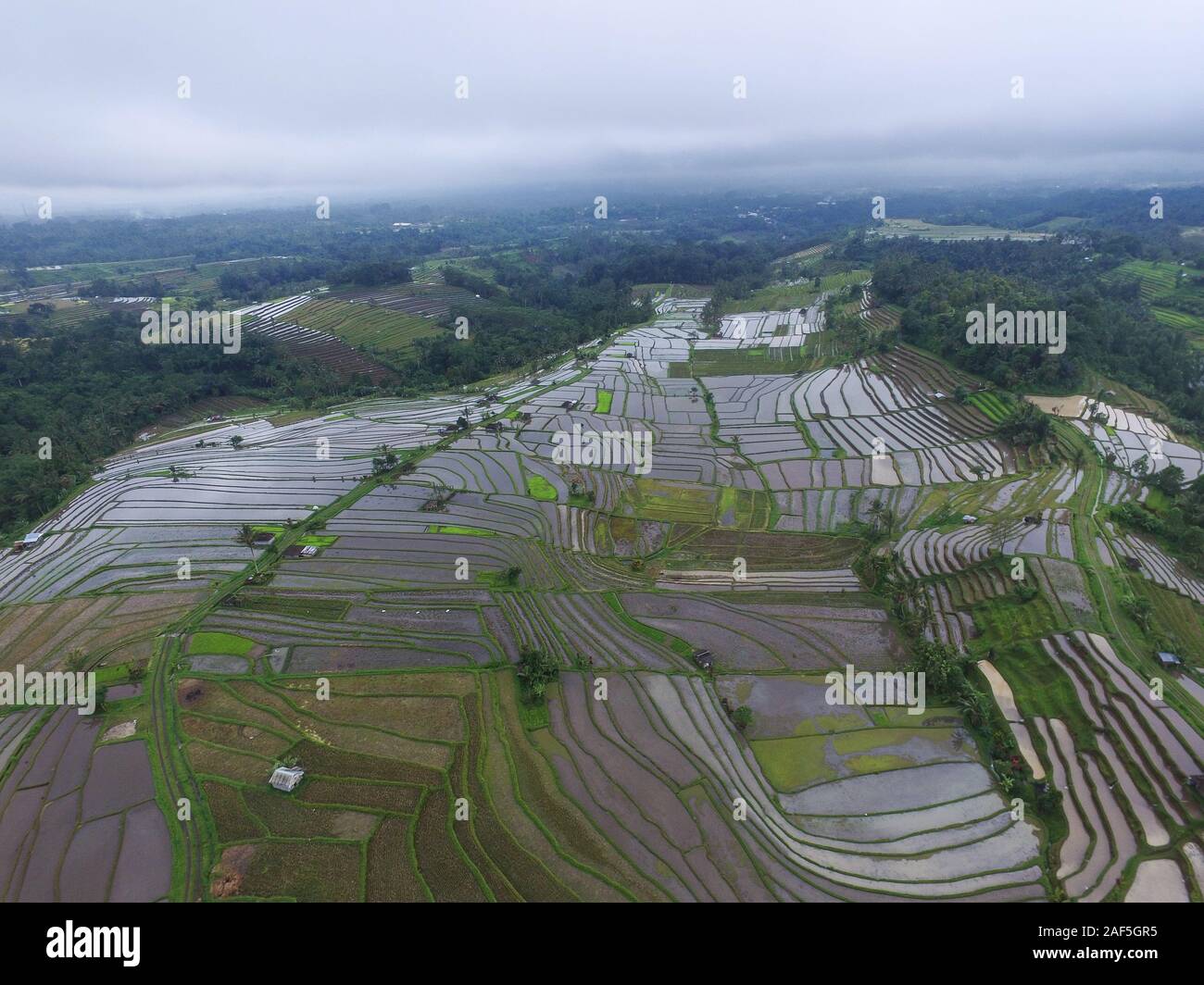 The rice terrace of Jatiluwih in Tabanan Bali, during before planting season. Jatiluwih rice terrace has been inscribed a UNESCO's World Heritage Site Stock Photo