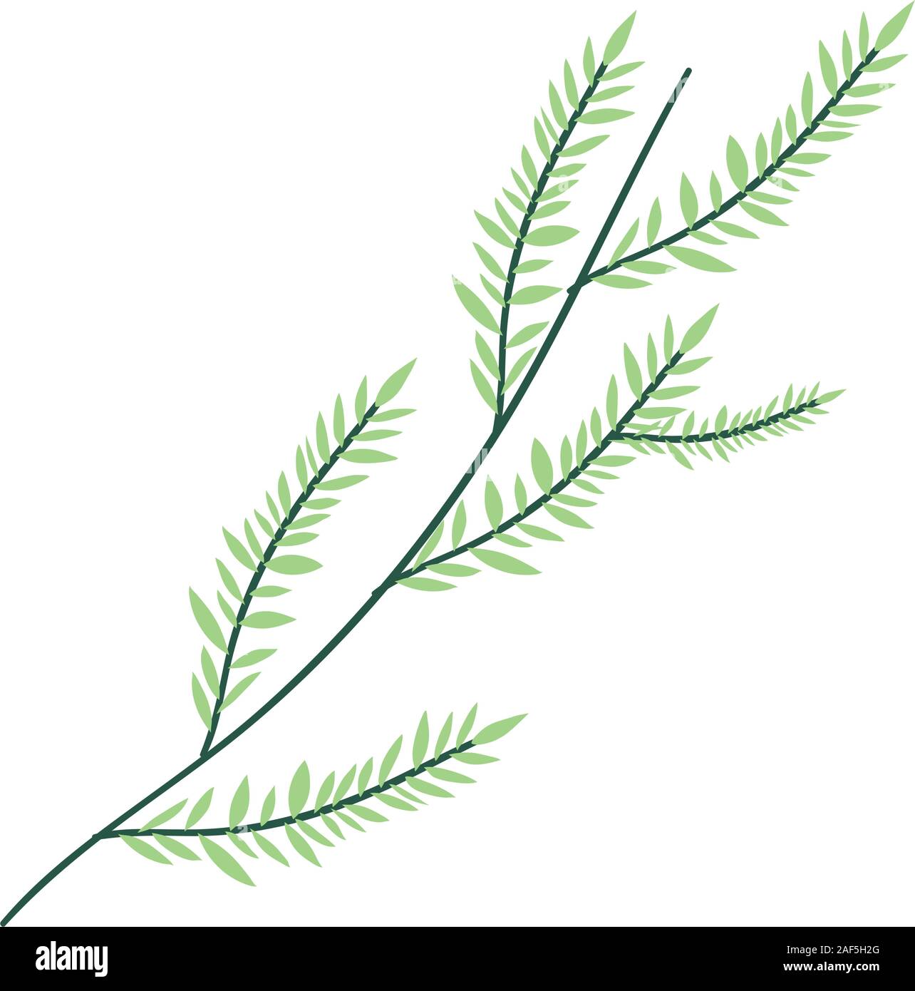Isolated leaf plant vector design Stock Vector Image & Art - Alamy